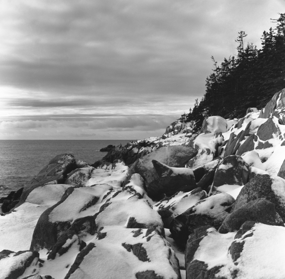 Maine Coast 9