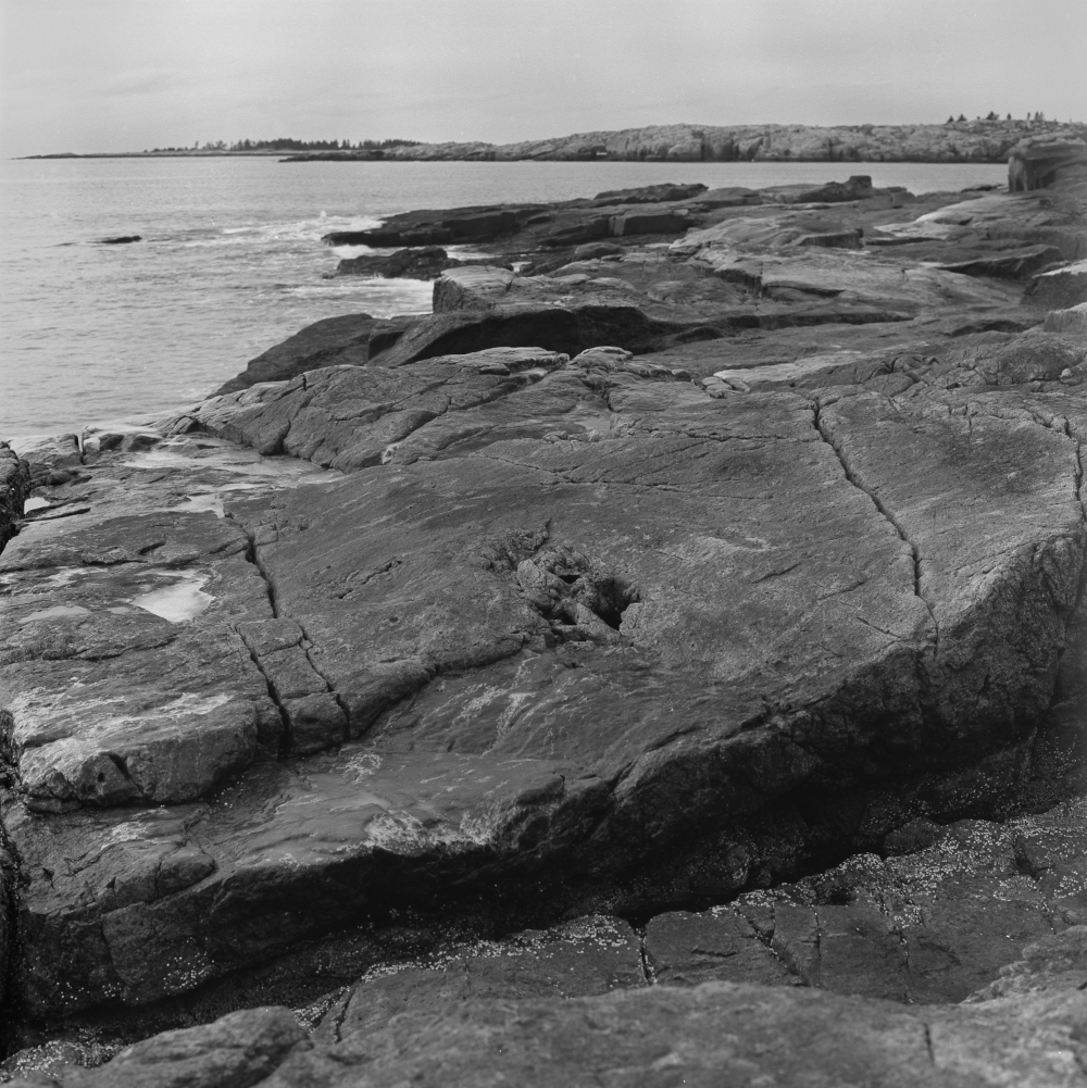 Maine Coast 12